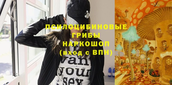 дурь Алексин
