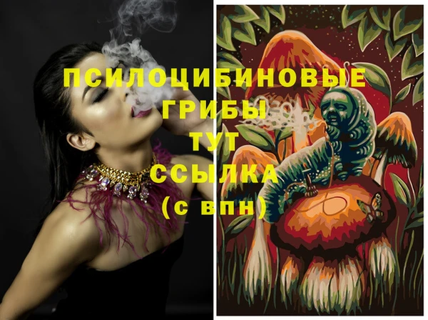 дурь Алексин