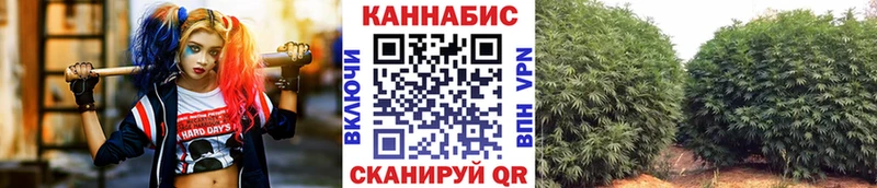 магазин  наркотиков  Дно  Марихуана THC 21% 